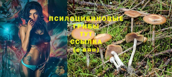 герыч Щигры