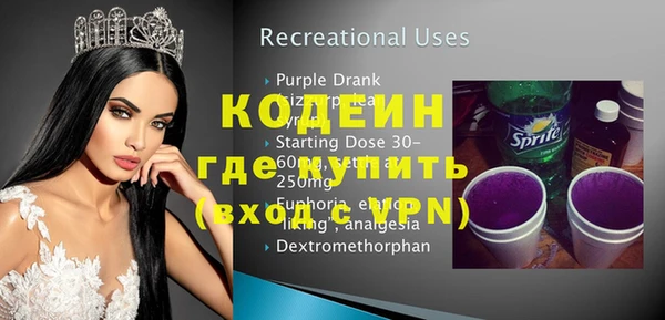 apvp Каменка