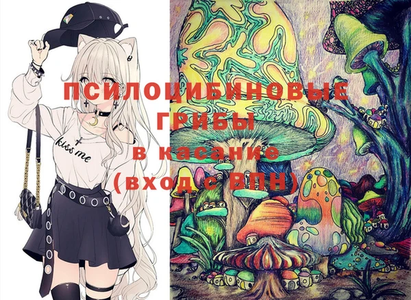 герыч Инта