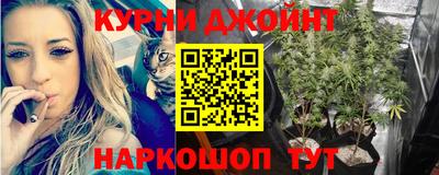 PSILOCYBIN Ирбит