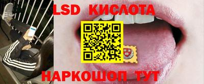 PSILOCYBIN Ирбит