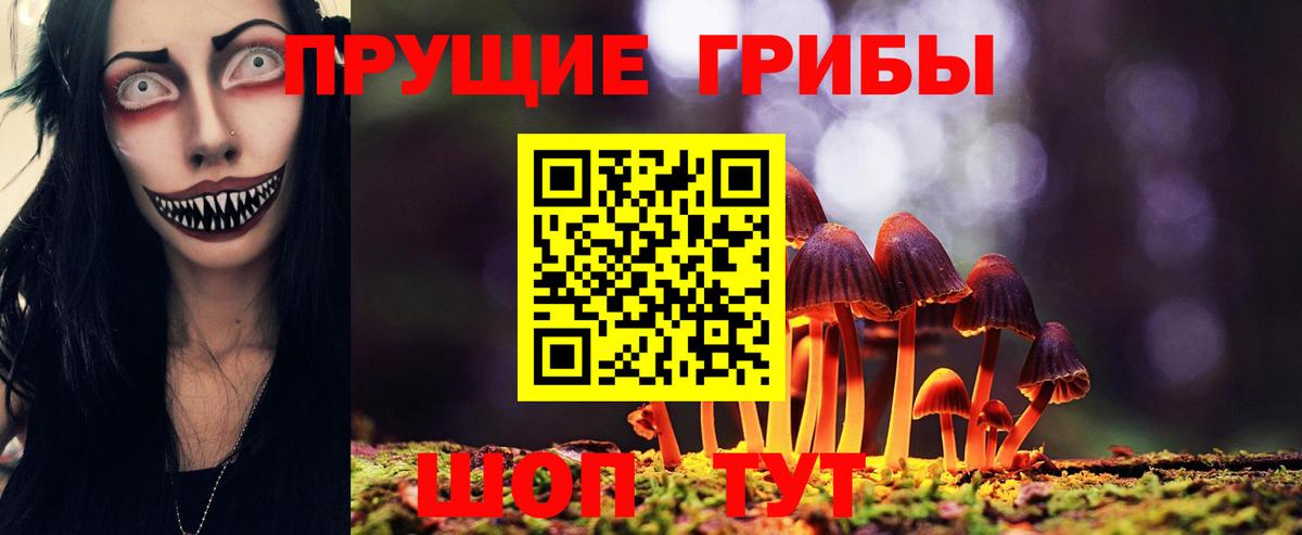 Псилоцибиновые грибы Psilocybine cubensis Кандалакша