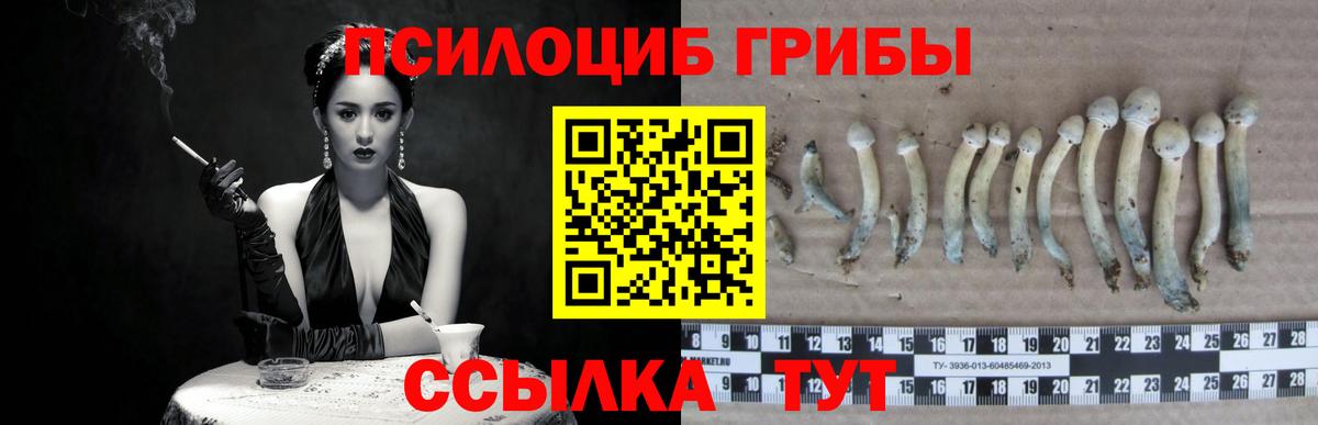 Кандалакша  продажа наркотиков  Галлюциногенные грибы GOLDEN TEACHER  Вход с VPN  Галлюциногенные грибы ЛСД 